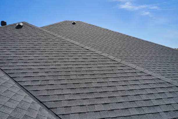 Best Roof Leak Repair  in Langley, SC